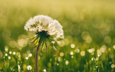 God’s Sabbath Rest Is Found in Jesus